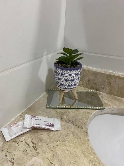 Appartement Flat Elegante E Bem Localizado à Feira de Santana Extérieur photo